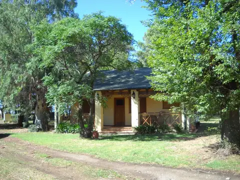 Único campo vitivinícola  y orgánico