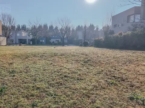 A Laguna - Santa Clara, Villanueva