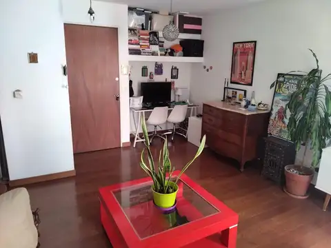 Zapiola 2600