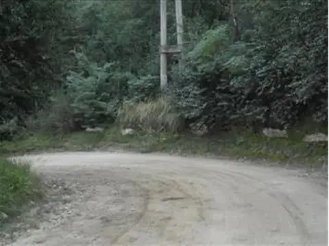 Campo en Venta