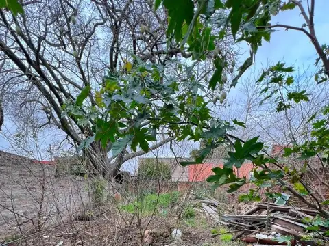 Venta de lote  de 8.66 x 50 en Ramos Mejía