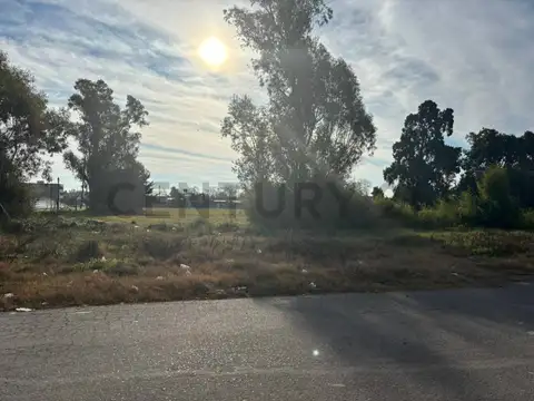 525 entre 142 y 143 , Piso 0