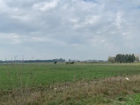 Hectáreas en venta!