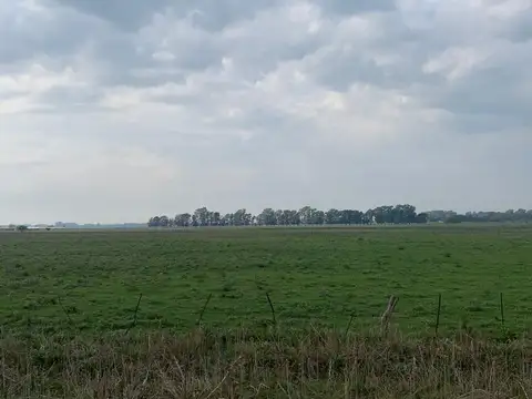 Hectáreas en venta!