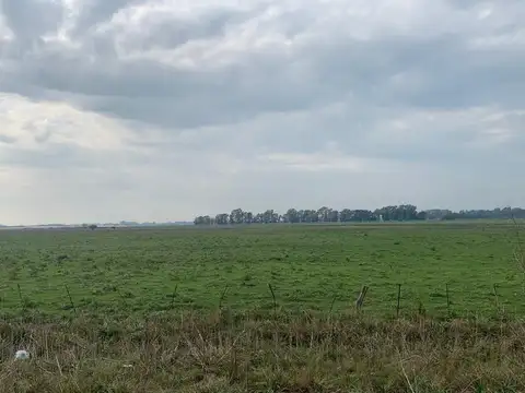 Terreno en Venta de 35000,0 m2