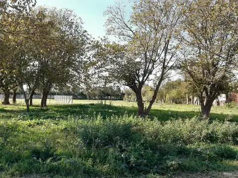 Terreno en Correa