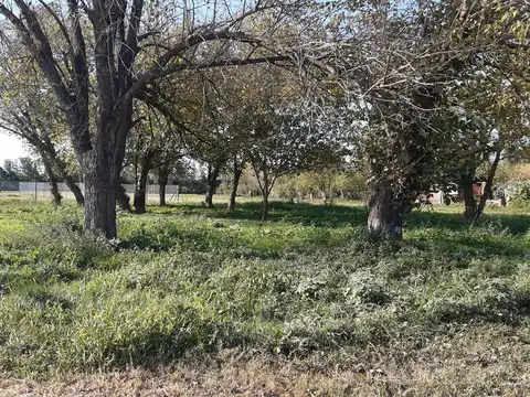 Terreno en Venta 45  mts Fondo