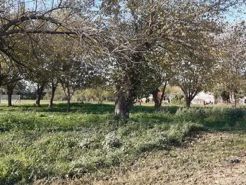 Terreno en Venta de 437,0 m2