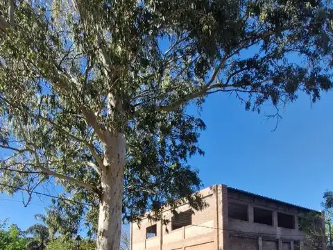 Nicolas Rojas Acosta 4400