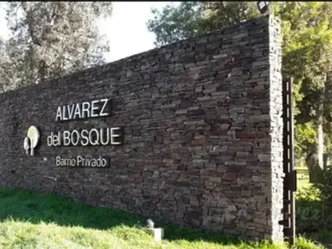 Alvarez del bosque