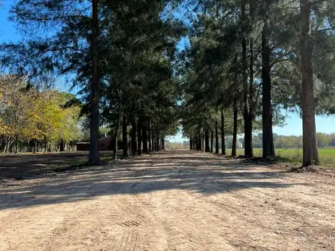 Terreno en Venta de 1042,0 m2