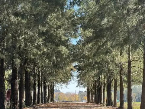 Terreno en Venta de 1042,0 m2