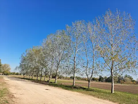 Lotes - Terreno en venta - Barrio Abierto - Las Merceditas