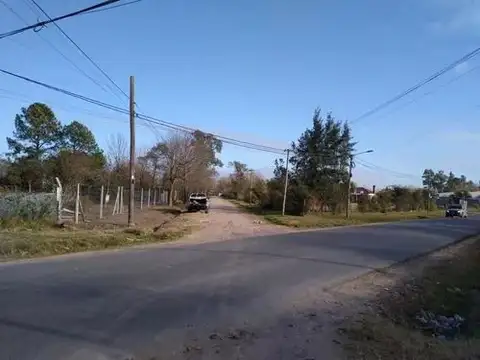 EL PEREGRINO 300