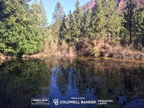 VENTA CHACRA LOS REPOLLOS – PARAÍSO EN PLENA PATAGONIA. Ruta nacional 40 y "Los Repollos"