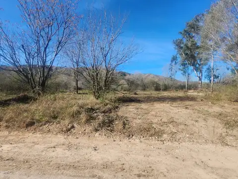 Valle Alegre 100