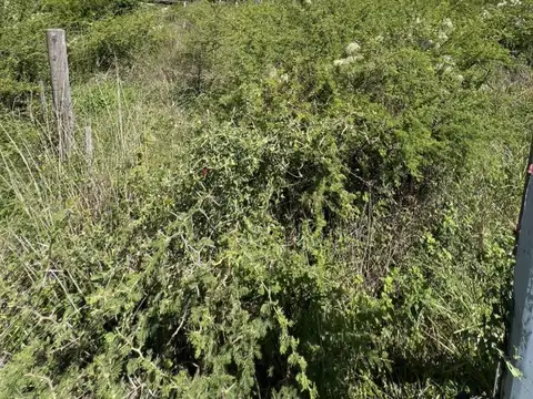 Terreno en Venta en Villa Parque Siquiman, USD 16.900