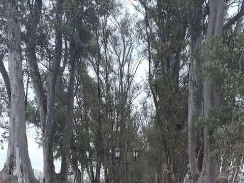 Terreno en Venta en Pilar Del Este, Countries y Barrios Cerrados en Pilar