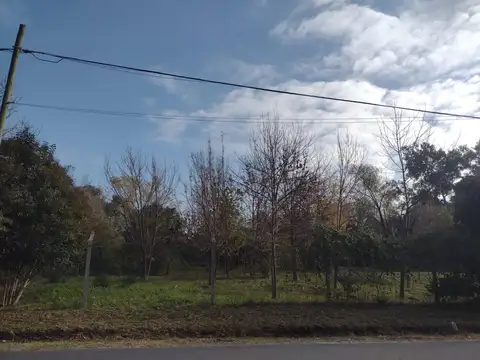 Terreno en Venta 37  mts Frente