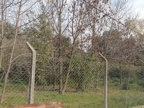 Terreno en Venta de 2775,0 m2