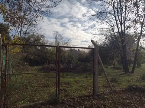 12 de Octubre al 300