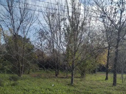 LOTE en Villa Astolfi, Pilar