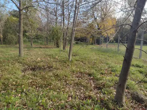 Terreno en Venta 74  mts Fondo