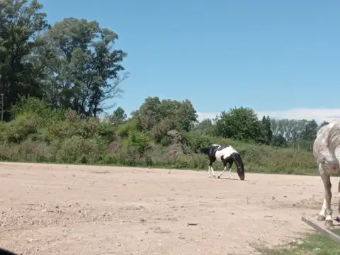 Terreno en Venta de 610,0 m2