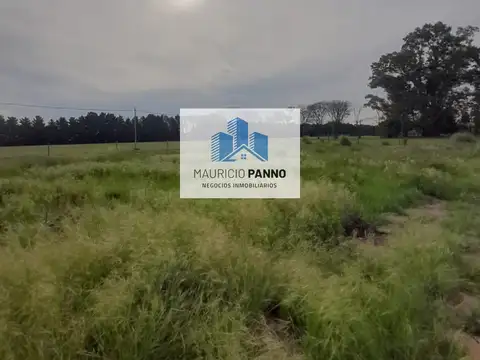 Terreno en Venta de 1000,0 m2