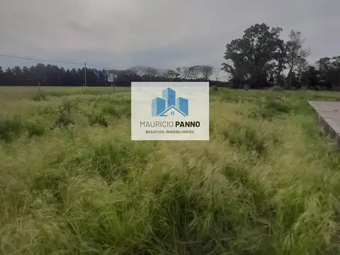 Terreno en Venta 20  mts Fondo