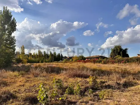 Terreno en Venta de 11221,0 m2