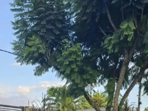 Diagonal 426 e/ Diagonal 3 y 423