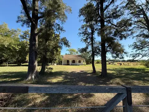 Exclusiva Quinta en Villa Lía ? 5.000 m² de Naturaleza y Tranquilidad