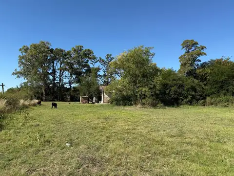 Terreno en Venta en Villa Lia, USD 150.000