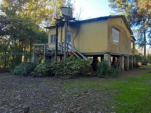 Rio - Arroyo Toro Isla Kre 100
