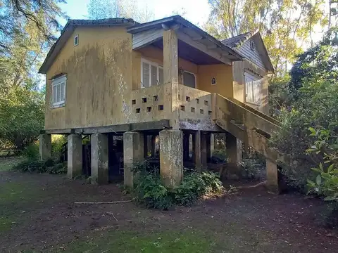 Rio - Arroyo Toro Isla Kre 100
