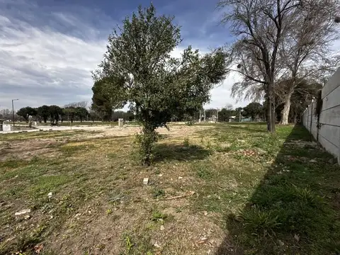 Terreno en Venta 25,40  mts Fondo