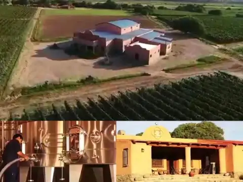 Viña y Bodega - Santa Maria - Catamarca