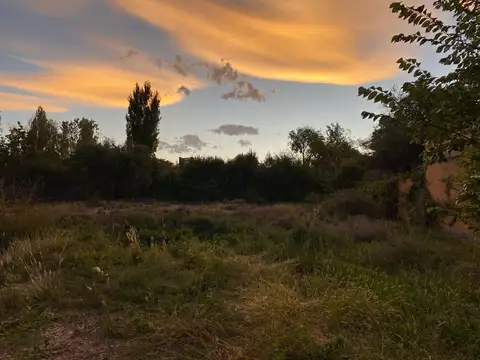 Terreno en Venta en Chacras de Coria, Luján de Cuyo
