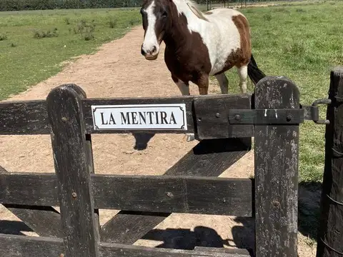 Terreno en venta - 34.772Mts2 - San Miguel del Monte