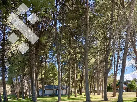 Terreno en Venta en Arroyito, Confluencia