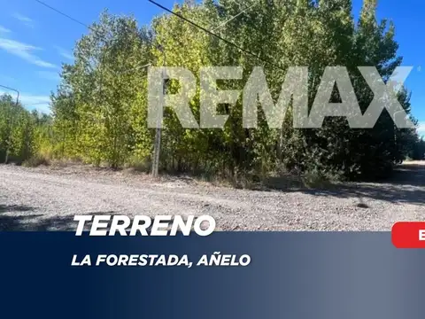 LOTE EN LA FORESTADA AÑELO, NEUQUEN
