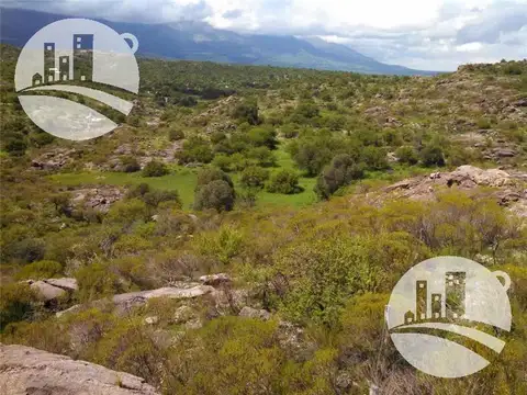 CONFIDENCIAL - BI683066