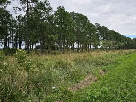 Terreno en Venta de 2390000,0 m2