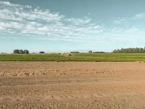 Campo de 855 hectáreas con muy buen potencial agrícola
