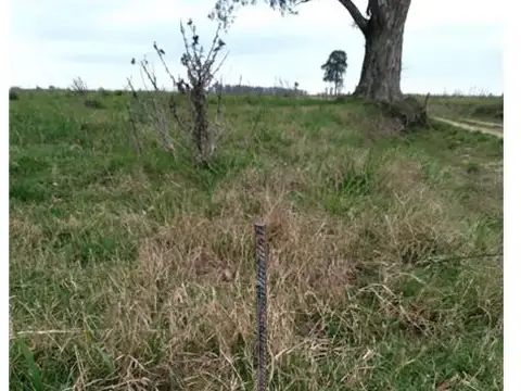 TERRENOS/FRACCIONES/LOTEOS - TERRENOS - EZEIZA, GRAN BS. AS. OESTE SUR