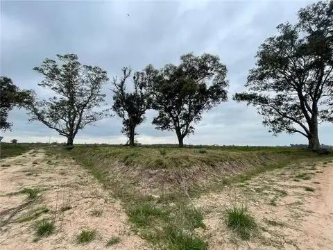 Barrio Las Gaviotas I Loteo abierto