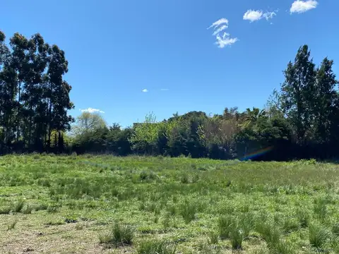 Terreno en Venta en Villa Elvira, USD 90.000