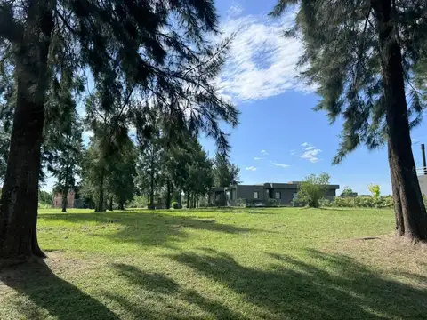 El Cazal 100