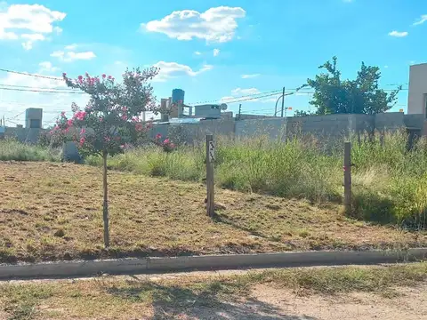 Calle Pública S/N